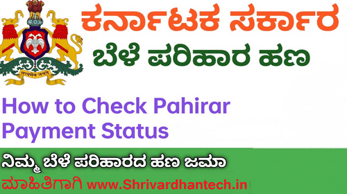 Bele parihar payment status