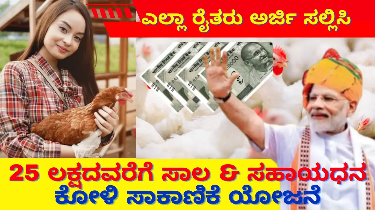 Poultry Farm Loan 2024 Government is giving loan of 9 lakhs for poultry farming, 33% subsidy